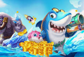 开云足球电脑免费版