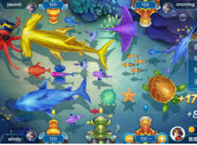 开云足球手机版