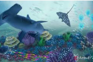 开云足球电脑免费版